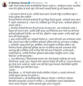 १९ जनाको मनोनयका कारण कांग्रेस एकतामै धक्का : डा. शेखर कोइराला