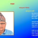 व्वाँसाहरुको भेडीगोठ