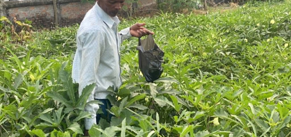 तरकारी खेतीबाटै आत्मनिर्भर : विदेशको मोह छाडेर कृषि उद्यममा मोहन मेहताको लोभलाग्दो सफलता