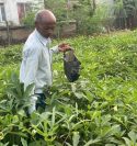 तरकारी खेतीबाटै आत्मनिर्भर : विदेशको मोह छाडेर कृषि उद्यममा मोहन मेहताको लोभलाग्दो सफलता