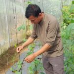 १२ वर्ष कोरिया बसेर फर्किएका युवा बने सफल किसान, ६० लाख लगानीबाट वार्षिक ५० लाखसम्म कारोबार